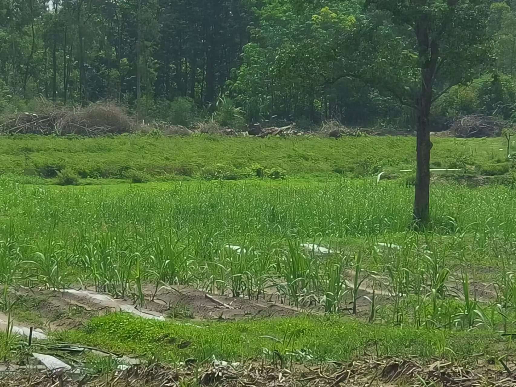 微信图片_20240606102919.jpg