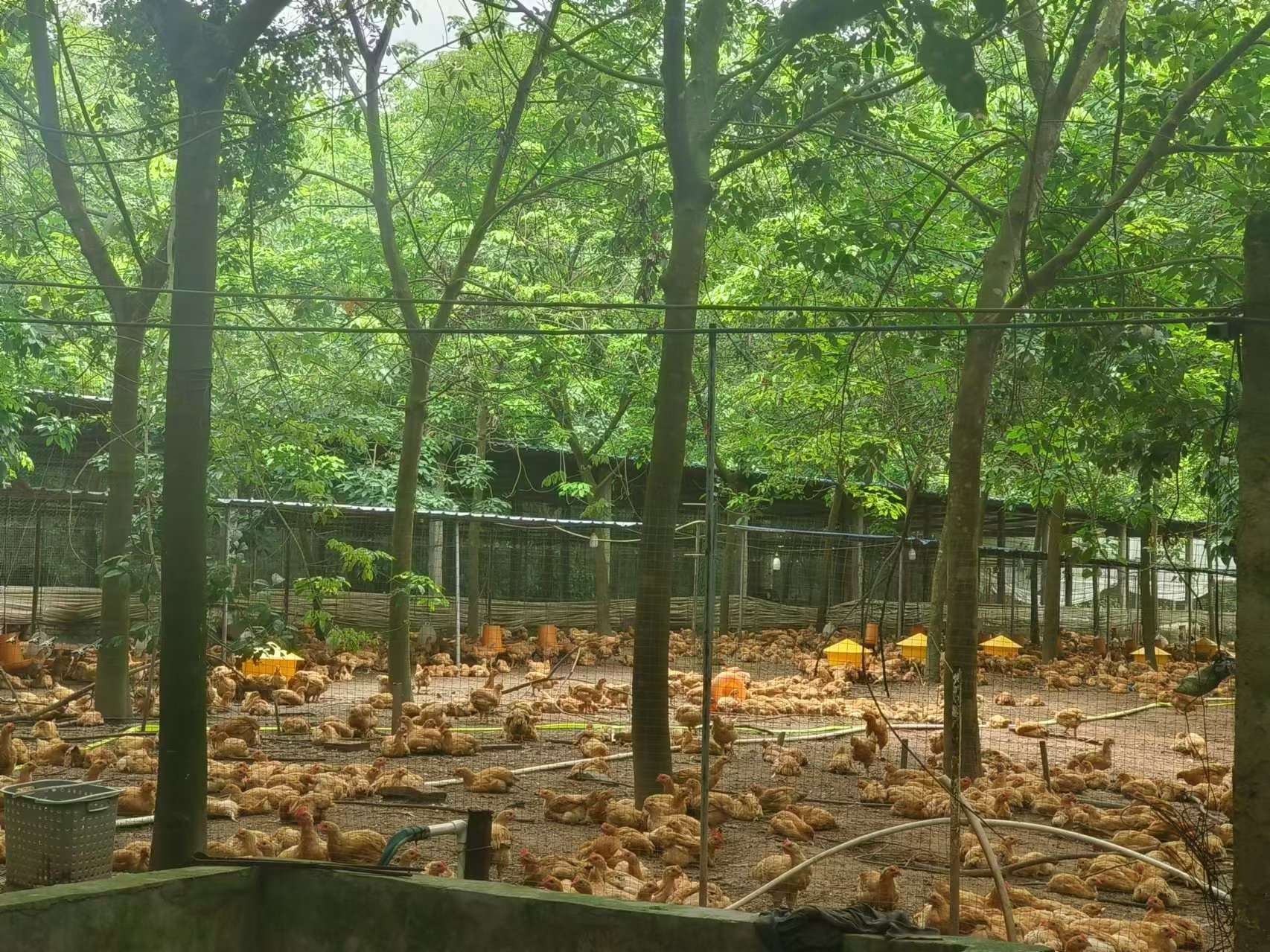 微信图片_20240611202124.jpg